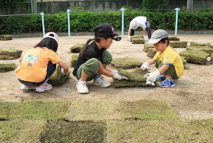 柏原小学校緑化01